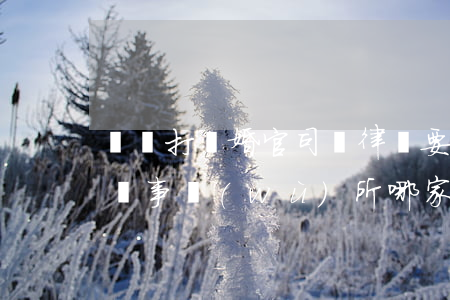 綿陽打離婚官司請律師要多少錢(綿陽離婚律師事務(wù)所哪家好)