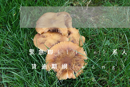 緊急聯(lián)系人有網(wǎng)貸逾期(網(wǎng)貸逾期聯(lián)系緊急聯(lián)系人合法嗎)