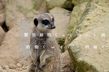 緊急避險(xiǎn)與正當(dāng)防衛(wèi)的區(qū)別