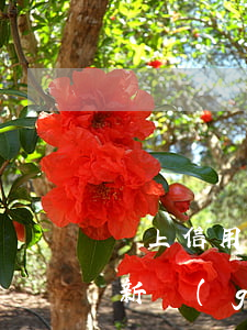 線上信用卡逾期會(huì)被起訴嗎(今年新規(guī)定信用卡逾期多久會(huì)起訴)