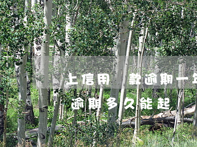 線上信用貸款逾期一年多多久起訴(銀行信用貸逾期多久能起訴)