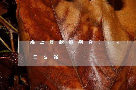 線上貸款逾期責(zé)任劃分(貸款逾期了怎么辦)