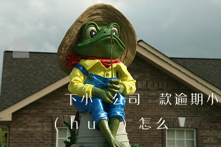 線下小貸公司貸款逾期(小貸公司逾期不還會(huì)怎么樣)