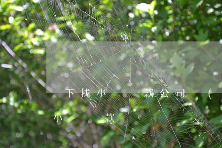 線下找小額貸款公司網(wǎng)貸(線上小額貸款)