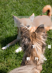 線下貸款還不起(線下小貸不還會(huì)有什么后果)