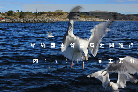 締約國主管當局之間進行協(xié)商的內(nèi)容主要有哪些方面
