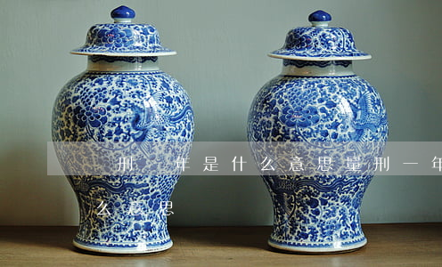 緩刑兩年是什么意思(量刑一年緩刑兩年是什么意思)
