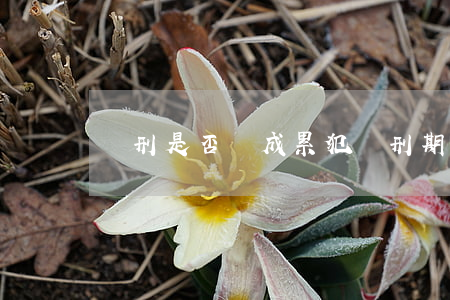 緩刑是否構成累犯(緩刑期間犯罪構成累犯)