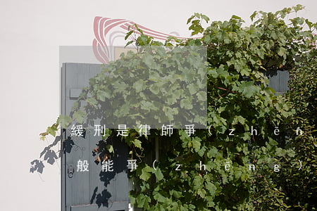 緩刑是律師爭(zhēng)取的嗎(律師一般能爭(zhēng)取緩刑嗎)