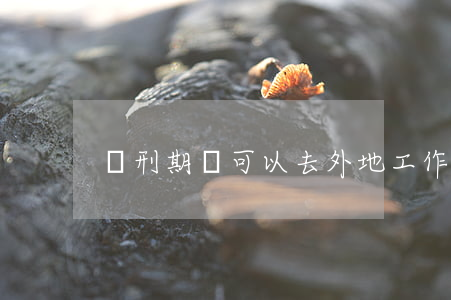 緩刑期間可以去外地工作嗎
