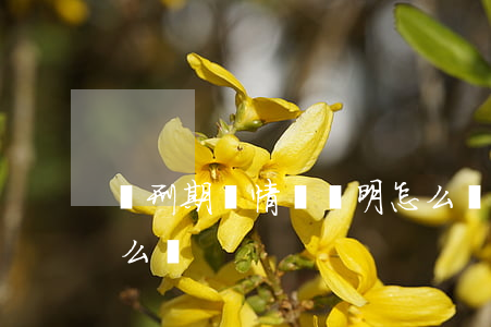 緩刑期間情況說明怎么寫(緩刑人員報告單怎么寫)