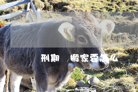 緩刑期間搬家要怎么辦