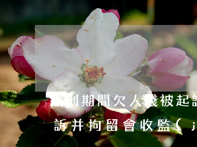 緩刑期間欠人錢被起訴(緩刑期間欠人錢被起訴并拘留會收監(jiān)嗎)