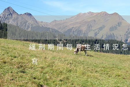 緩刑期間每月生活情況怎么寫(緩刑報告怎么寫)