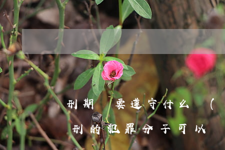 緩刑期間要遵守什么規(guī)定（被宣告緩刑的犯罪分子可以減刑嗎）