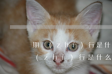 緩期執(zhí)行是什么意思(哺乳期緩期執(zhí)行是什么意思)