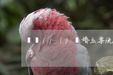 縣級(jí)離婚立案流程(離婚案件審理程序)