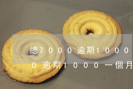 總7000逾期1000一個月-總7000逾期1000一個月,逾期費是算1000還是700