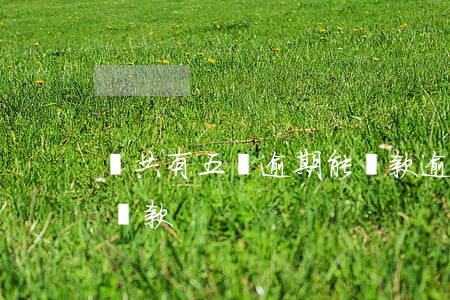 總共有五個逾期能貸款(逾期超過多少次不能貸款)