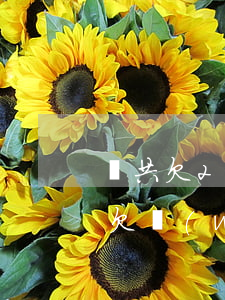 總共欠2萬網(wǎng)貸不還算老賴嗎(欠網(wǎng)貸不還是老賴嗎)