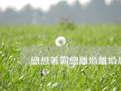總想著霸總離婚(離婚后霸總天天想)