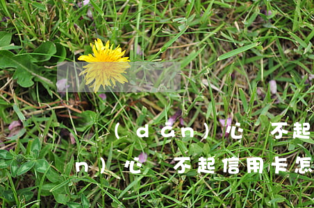 總擔(dān)心還不起信用卡(總擔(dān)心還不起信用卡怎么辦)