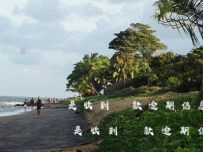 總是收到貸款逾期信息但是沒有顯示平臺-總是收到貸款逾期信息但是沒有顯示平臺信息