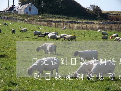 總是收到貸款逾期信息可以投訴么-總是收到貸款逾期信息可以投訴么嗎