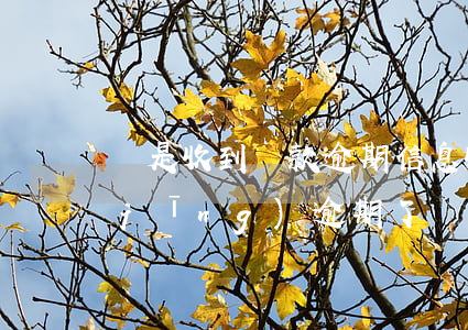 總是收到貸款逾期信息(收到信息說我已經(jīng)逾期了)