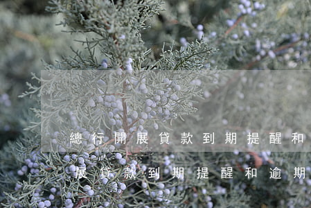 總行開展貸款到期提醒和逾期催收-總行開展貸款到期提醒和逾期催收工作