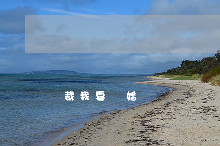 總裁我要離婚
