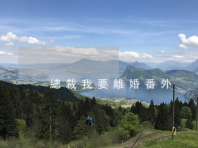 總裁我要離婚番外
