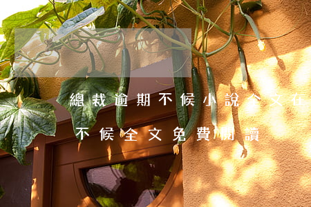 總裁逾期不候小說全文在線閱讀-總裁逾期不候全文免費閱讀