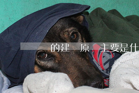 總賬的建賬原則主要是什么