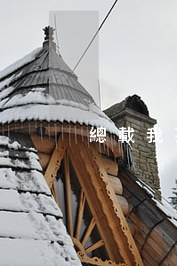 總載我要離婚免費(fèi)閱讀