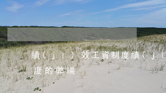 績(jī)效工資制度(績(jī)效工資制度的弊端)