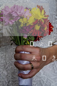 繳公積金逾期一天還款(公積金還貸款逾期一天,該怎么辦)