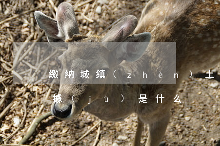 繳納城鎮(zhèn)土地使用稅的對象,依據(jù)是什么