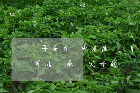 繼子女有繼承房屋權(quán)嗎(繼子女可以繼承繼父母的遺產(chǎn))