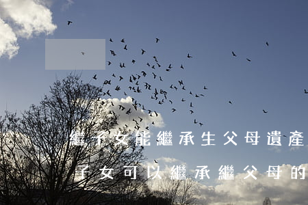 繼子女能繼承生父母遺產(chǎn)嗎(繼子女可以繼承繼父母的財產(chǎn)嗎)