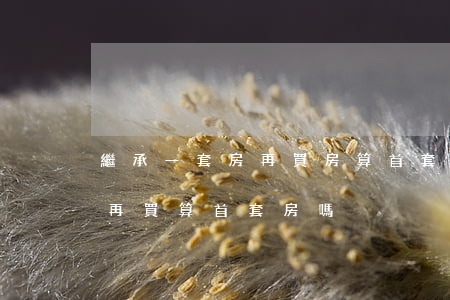 繼承一套房再買房算首套嗎(繼承了一套房子,再買算首套房嗎)