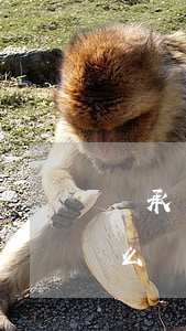 繼承了房產(chǎn)不希望配偶擁有怎么辦(子女不能繼承父母房產(chǎn))