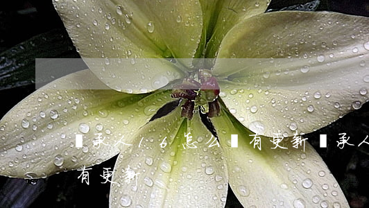 繼承人16怎么沒有更新(繼承人16怎么沒有更新)