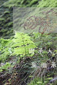 繼承人不放棄繼承法院怎么判(繼承人全部放棄繼承權(quán) 債權(quán)人怎么辦 法院)