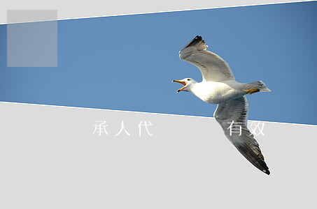 繼承人代書遺囑有效嗎(繼承人代寫遺囑有效嗎)