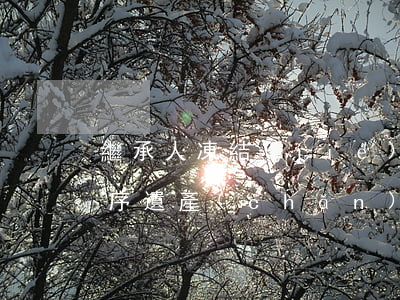 繼承人凍結(jié)遺產(chǎn)程序(遺產(chǎn)繼承怎么立案)