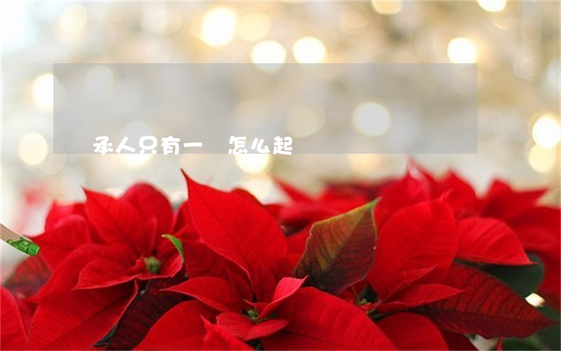 繼承人只有一個怎么起訴