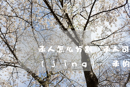 繼承人怎么分割(繼承人可以對(duì)已經(jīng)繼承的遺產(chǎn)進(jìn)行分割么)