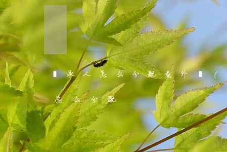 繼承人怎么分配(意外險(xiǎn)繼承人怎么分配)