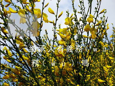 繼承人有義務(wù)為被繼承人償還還債務(wù)嗎